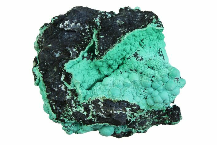 Blue-Green Botryoidal Chrysocolla - Planet Mine, Arizona #358226